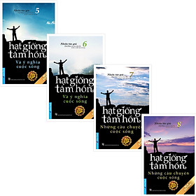 Download sách Combo Hạt giống tâm hồn (Và ý nghĩa cuộc sống 5 & 6, Những câu chuyện cuộc sống 7 & 8) Tái bản 2020