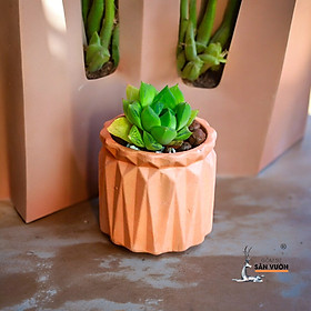 Combo 10 Chậu Cây Gốm Đất Nung (terracotta) hình Trứng Kim Cương D8xH8cm