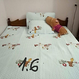 Mua Chiếu điều hòa mẫu mới