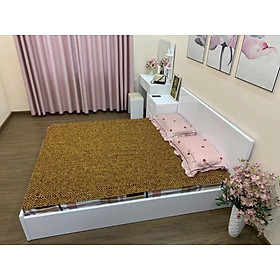 Chiếu Hạt Gỗ Bách Xanh Cao Cấp - Kích Thước 2,2mx2m hạt 1.8cm Chất Liệu Tự Nhiên Mát Xa Cơ Thế Tốt Cho Sức Khoẻ 