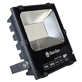 Mua Đèn LED chiếu pha Rạng Đông 100W