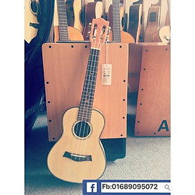 Mua Đàn Ukulele Concert mặt gỗ