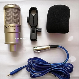 Mua Mic thu âm AQ220
