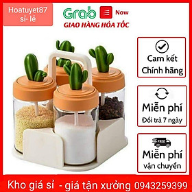 Mua Hũ đựng gia vị thủy tinh xương rồng cao cấp  hộp đựng gia vị kèm thìa tiện lợi