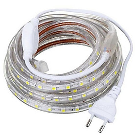 Combo 10m led dây siêu sáng 5050 8w/m DC220V + dây nguồn ánh sáng trắng, vàng , dương, lá , đỏ, RGB