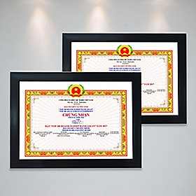 Mua Combo 2 khung ảnh bằng khen khung trơn A4- khung ảnh composite treo tường kèm đinh treo tiện lợi