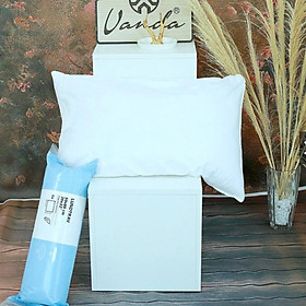 Mua Ruột gối đầu lông vũ hàng nhập khẩu - CHÍNH HÃNG