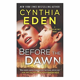 Before The Dawn