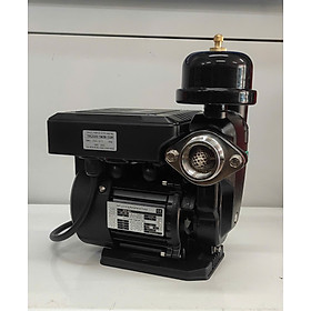 Mua Máy bơm Biến Tần PRODN 300 w { tự điều chỉnh áp lực nước } intop