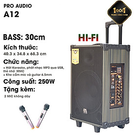 Mua Loa Kéo Karaoke Cao Cấp Công Suất 250W-500W A-12/ SKT 300 Siêu Bass 30cm( 3 Tấc ) Hàng Chính Hãng Pro Audio