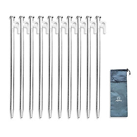 Set 10 Cái Đinh Lều Thép Carbon 12 Inches Thương Hiệu Aotu