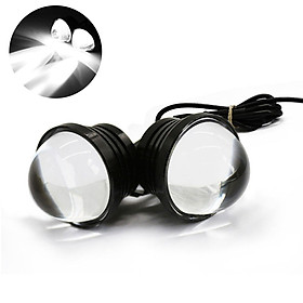 Đèn Ban Ngày Cho Xe Hơi (4 Màu) (12V)
