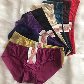 Combo 10 quần lót nữ voan trơn spring 5401