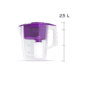 Bình lọc nước kháng khuẩn Mini nano Geyser 2.5L - hàng chính hãng