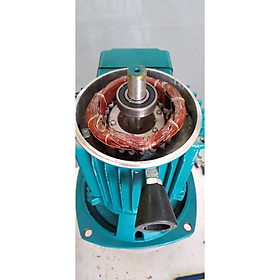 Mua Máy Bơm Nước Cánh Dĩa 750w