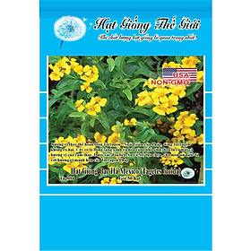 50h Hạt Giống Bạc Hà Mexico - Thơm, Dễ Trồng (Tagetes lucida)
