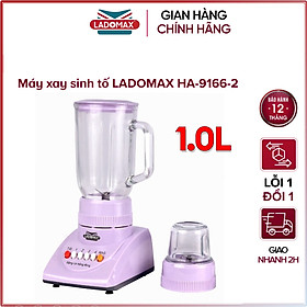 Mua Máy xay sinh tố đa năng 2 cối Ladomax HA-9166-2 - Hàng chính hãng