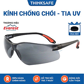 Mua Kính bảo hộ Everest Ev202 Kính chống bụi  chống đọng sương  chống tia UV  bảo vệ mắt khi đi xe máy - EV202 Smoke Anti Fog