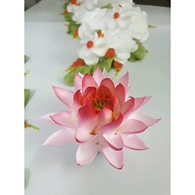Mua đui hoa sen