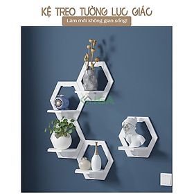 Mua Kệ Treo Tường Trang Trí  Để Lọ Hoa và Đồ Trang Trí - IG389