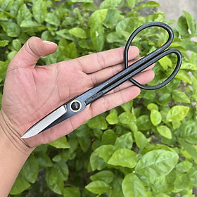 Mua Kéo Tỉa Lá  Tỉa Nhánh   Tỉa Cành  Kéo Tía Cây Bonsai Chuyên Nghiệp   Thép Đúc Nguyên Khối Nhật Bản - HA86