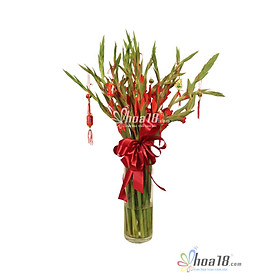 Bình Hoa Tươi - An Nhiên - 4313