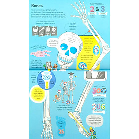Sách tiếng Anh - Usborne Big Book of the Body