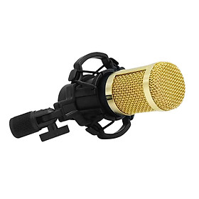 BM800 Condenser Microphone Portable High Sensitivity Low Noise Mic Kit for Computer Mobile Phone Studio Live Stream