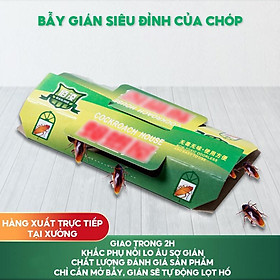 Mua Miếng Bẫy Gián Chuyên Nghiệp Hiệu Quả Tặng Kèm Ngay Mồi Nhử