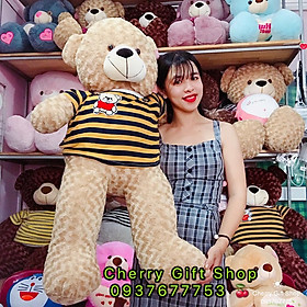 Gấu Bông Teddy Áo Xọc Giá Sốc 1m1 Ảnh Shop Chụp