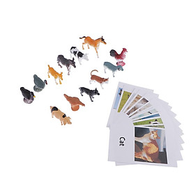 Education Toy Poultry Animals Model Naming Cards for Montessori Education