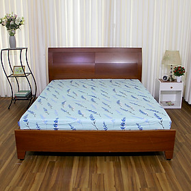 Chăn ga gối Thắng Lợi 1m2x2m