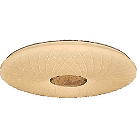 Mua Đèn led ốp trần viền tròn đổi màu 36W