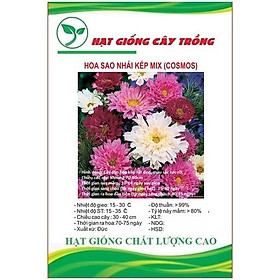 Hạt giống hoa cúc sao nhái hoa cánh kép mix màu CT43 - Gói 30 hạt