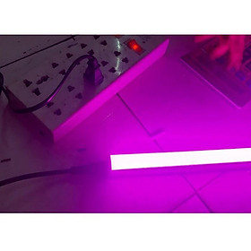 Mua ĐÈN TUÝP LED MÀU TRANG TRÍ 120CM T5 LIỀN MÁNG nối dây 1m