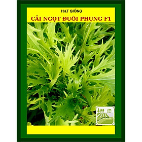 Mua 20G - Hạt Giống Cải Ngọt Đuôi Phụng