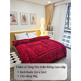 Mua Chăn Nỉ Lông Cừu COCO Siêu Ấm - Mền COCO Xuất Nhật Dày Mịn  Kèm Túi Xách  Kích Thước 2mx2m3  Nặng 4kg - Hàng Chính Hãng MINIIN