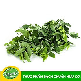Rau ngót Nhật hữu cơ Organicfood - 250g