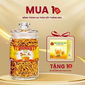 Đông Trùng Hạ Thảo Sấy Thăng Hoa - Hũ 30g