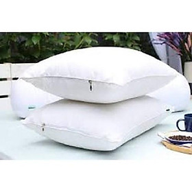 Ruột Gối Ball EDENA Kích Cỡ 45X65cm Êm Ái Sang Trọng