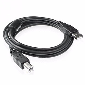 Mua Dây usb máy in 5m	 NTH