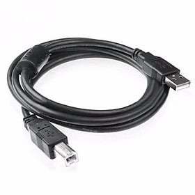 Dây usb máy in 5m	 NTH