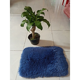 Mua Thảm lông chùi chân siêu thấm  mềm mịn tiện dụng HR tặng kèm móc dán 3D đáng yêu (giao màu ngẫu nhiên)