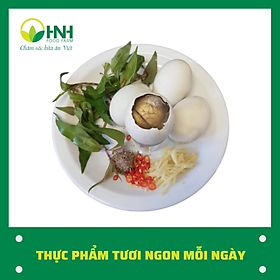 [CHỈ GIAO HÀ NỘI] Trứng vịt lộn 20 quả - HNH Food Farm