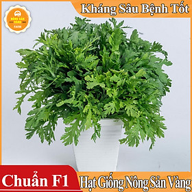 Hạt giống Rau Cúc Té , Rau Tần Ô ( Gói 20 Gram )