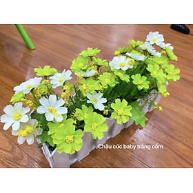 Mua Chậu hoa giả trang trí – Nhiều mẫu mã – Chậu hàng rào cắm sẵn cây giả  hoa lụa decor – Rộng 10 cm – Dài 50 cm – Cao từ 15 đến 30 cm
