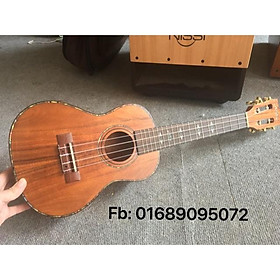 Mua Đàn Concert Aeon cao cấp