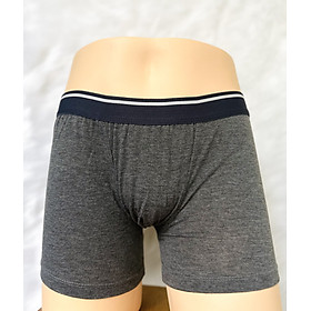 Quần lót nam cao cấp Zento Boxer (màu ngẫu nhiên)