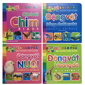 COMBO: Bé Khám Phá Môi Trường Xung Quanh - Động Vật Sống Dưới Nước + Động Vật Hoang Dã + Động Vật Nuôi + Các Loài Chim