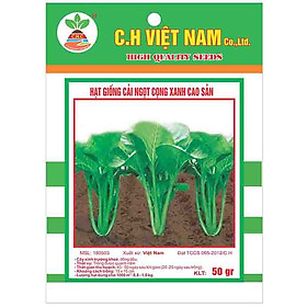 3 Gói Hạt Giống Rau Cải Ngọt Cọng Xanh Cao Sản (50gr/ gói)